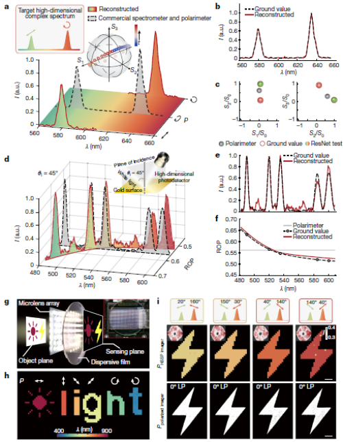 中國科研團隊突破高維光場探測瓶頸，成果榮登《自然》雜志(圖2)