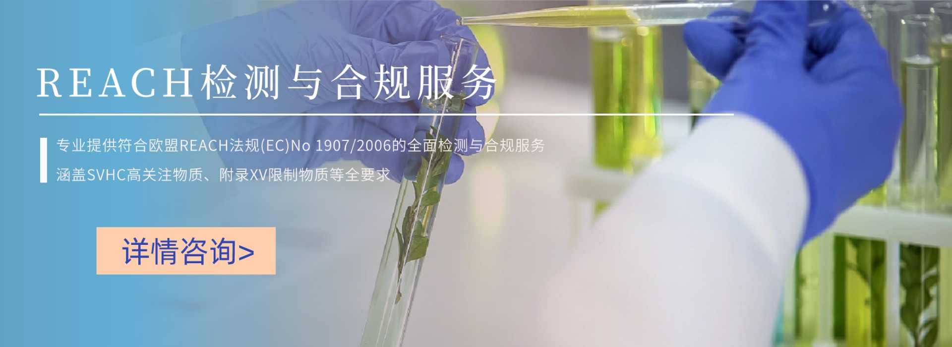 REACH檢測(cè)與合規(guī)服務(wù)(圖1)